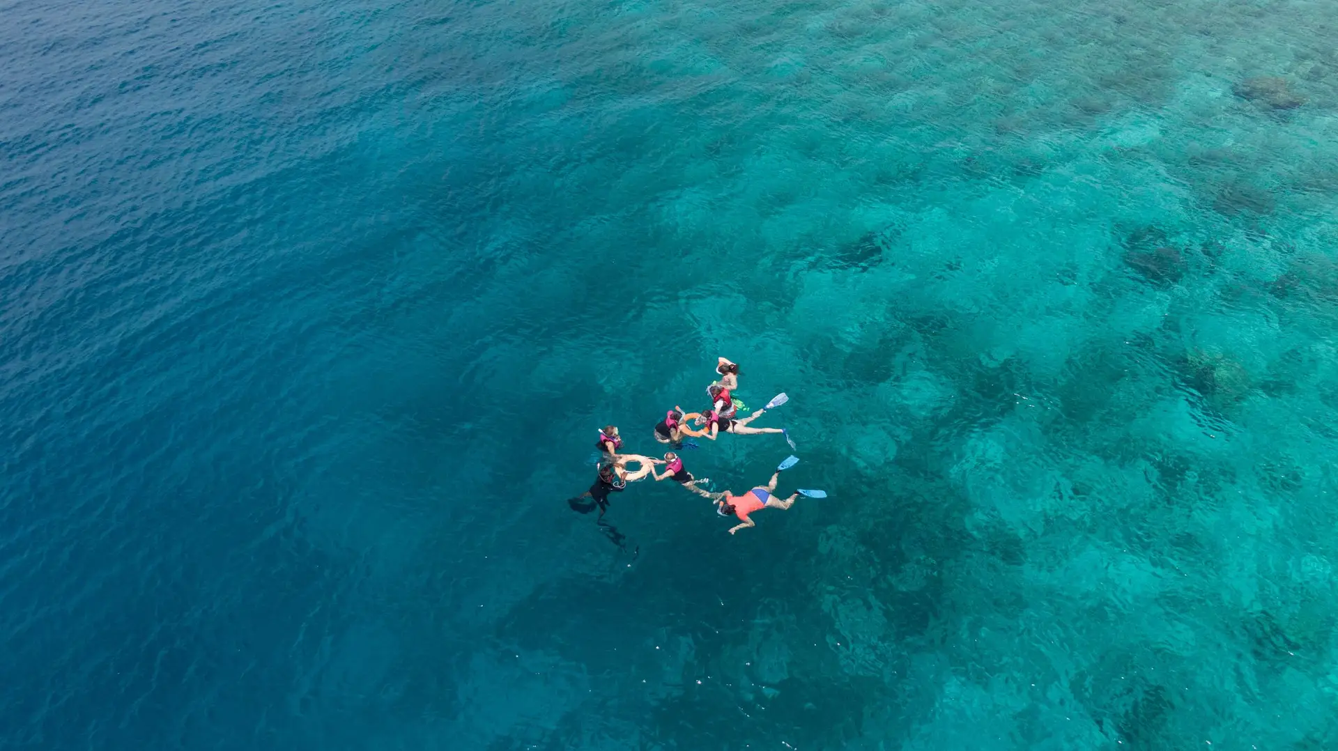Aerial view of swimmers in shallow turquoise water