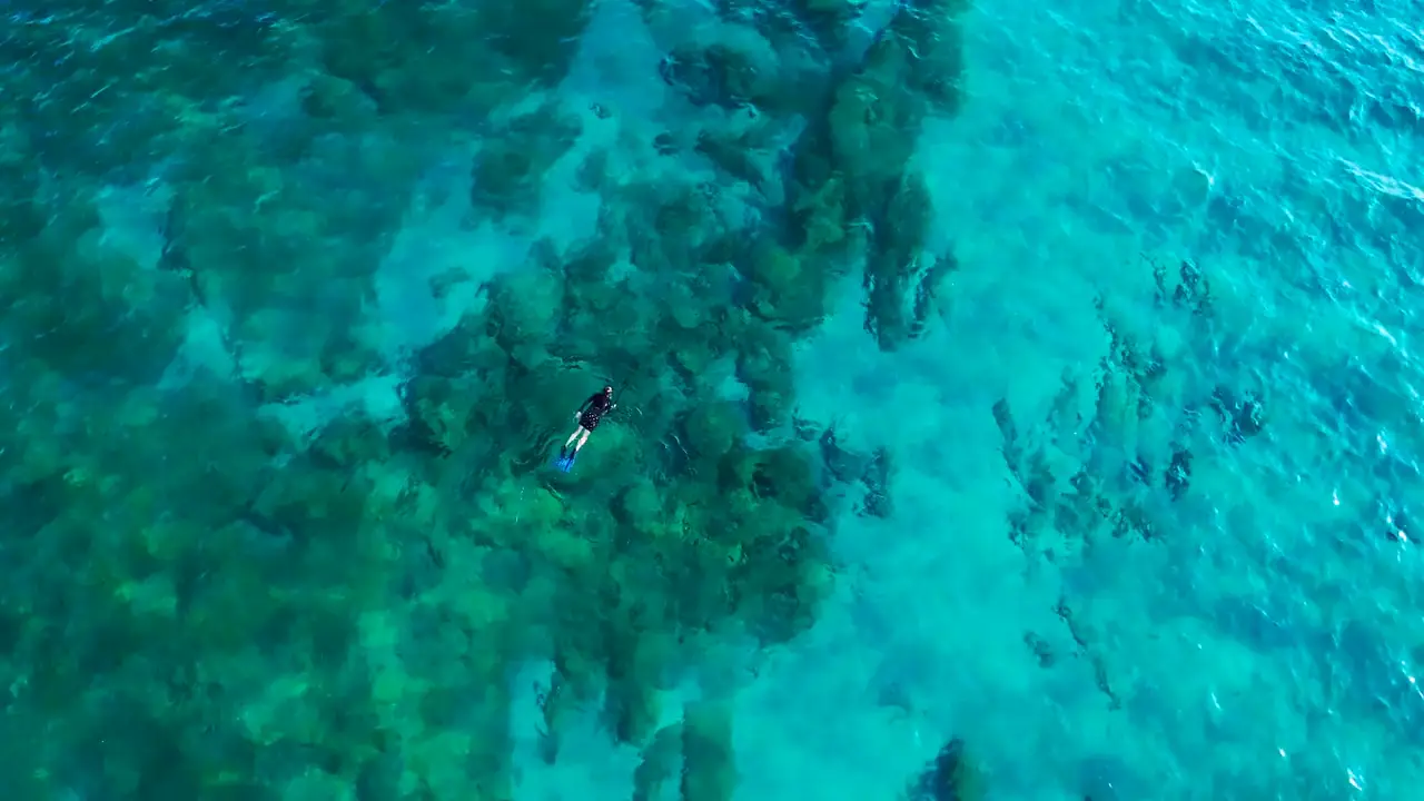 Aerial view of a snorkeller floating in clear blue water