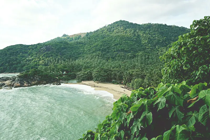 A tropical beach on Koh Phangan